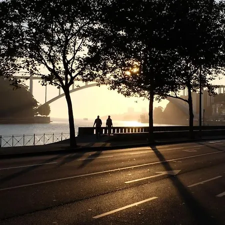 Hébergement de vacances Wood & Blue House - *