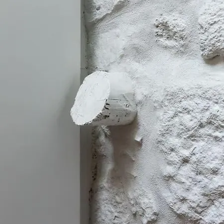 Hébergement de vacances Wood & Blue House -